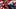 Oct 25, 2026; Houston, Texas, USA; Houston Texans wide receiver Marvin Harrison Jr. (18) reacts to his touchdown against the Oct 25, 2026; Houston, Texas, USA; Houston Texans wide receiver Marvin Harrison Jr. (18) reacts to his touchdown against the