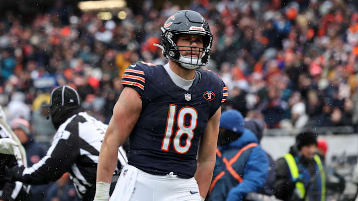 Dec 31, 2023; Chicago, Illinois, USA; Chicago Bears tight end Robert Tonyan (18) reacts after a Dec 31, 2023; Chicago, Illinois, USA; Chicago Bears tight end Robert Tonyan (18) reacts after a