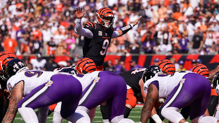 Baltimore Ravens v Cincinnati Bengals
