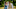 Buccaneers_Photo_010301