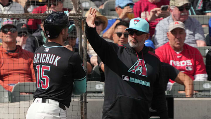 Mar 3, 2025; Salt River Pima-Maricopa, Arizona, USA; Arizona Diamondbacks outfielder Randal Grichuk (15) celebrates with manager Torey Lovullo (17) after hitting a home run against the Chicago Cubs in the second inning at Salt River Fields at Talking Stick. Mandatory Credit: Rick Scuteri-Imagn Images