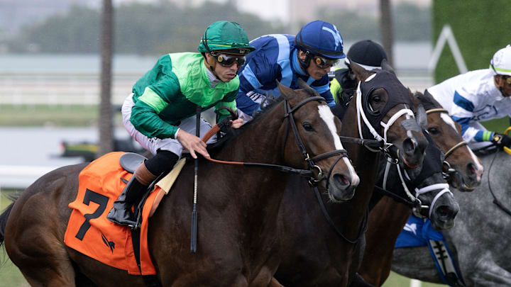 Gulfstream, Horse Racing