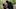 TWD_1012_JD_1009_0233-RT TWD_1012_JD_1009_0233-RT