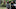 TWDWB_209_SS_0614_0010-RT TWDWB_209_SS_0614_0010-RT