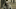TWD_1124_JD_0328_0479-RT