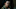 TOWL_102_GP_0224_0490-RT TOWL_102_GP_0224_0490-RT
