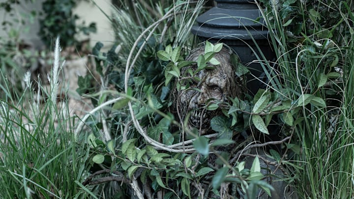 The Walking Dead: Daryl Dixon _ Season 3 - Photo Credit: Manuel Fernandez-Valdes/AMC