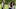 Andrew Lincoln as Rick Grimes, Danai Gurira as Michonne, Cailey Fleming as Judith, Anthony Azor as RJ 