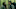 Danai Gurira as Michonne, Andrew Lincoln as Rick Grimes in The Walking Dead: The Ones Who Live Danai Gurira as Michonne, Andrew Lincoln as Rick Grimes in The Walking Dead: The Ones Who Live