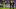 Philadelphia Union