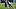 New England Patriots quarterback Drake Maye