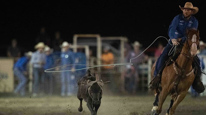 A cowboy competes in the team roping competition A cowboy competes in the team roping competition