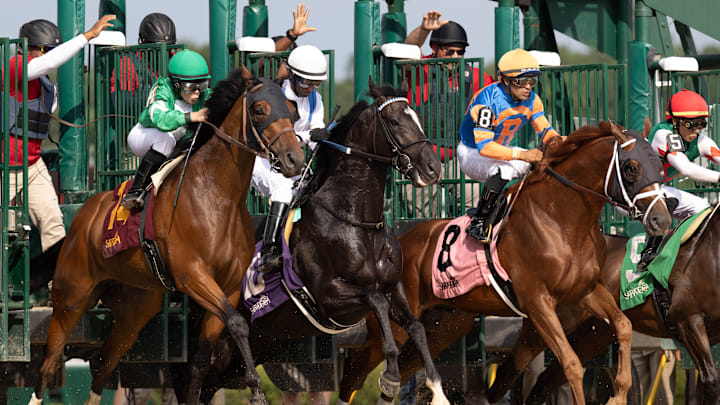 DRF Horse Racing Playbook August 28th DRF Horse Racing Playbook August 28th