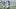 nfl nfl