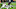 Denver Broncos, Kareem Jackson Denver Broncos, Kareem Jackson