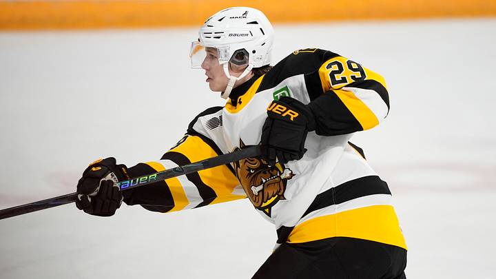 Brantford Bulldogs v Niagara IceDogs Brantford Bulldogs v Niagara IceDogs