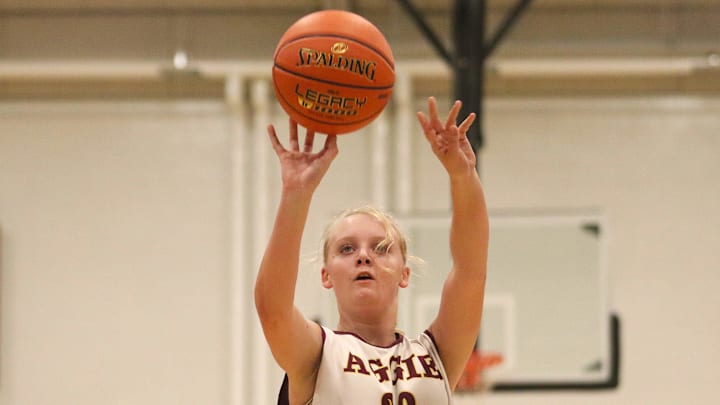 Bristol Aggie's Alisson Wood takes a free throw during an MIAA-MCSAO crossover game against Argosy Collegiate Charter on Dec. 13, 2024.