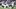 Scenes from the 2025 football game between Kansas State and Colorado. Scenes from the 2025 football game between Kansas State and Colorado.