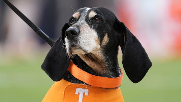 Nov 23, 2024; Knoxville, Tennessee, USA; Tennessee Volunteers mascot Smokey at a game against the UTEP Miners at Neyland Stadium. Mandatory Credit: Angelina Alcantar/USA TODAY Network via Imagn Images
