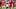New York Giants running back Cam Skattebo New York Giants running back Cam Skattebo