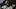 New York Yankees center fielder Spencer Jones New York Yankees center fielder Spencer Jones