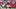 Wisconsin Badgers linebacker Sebastian Cheeks. Wisconsin Badgers linebacker Sebastian Cheeks.