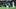 Eagles WR Makai Lemon will be a Week 8 fantasy football sleeper with the news the DeVonta Smith and Dontayvion Wicks are out Eagles WR Makai Lemon will be a Week 8 fantasy football sleeper with the news the DeVonta Smith and Dontayvion Wicks are out