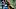 Pittsburgh Steelers linebacker Carson Bruener Pittsburgh Steelers linebacker Carson Bruener