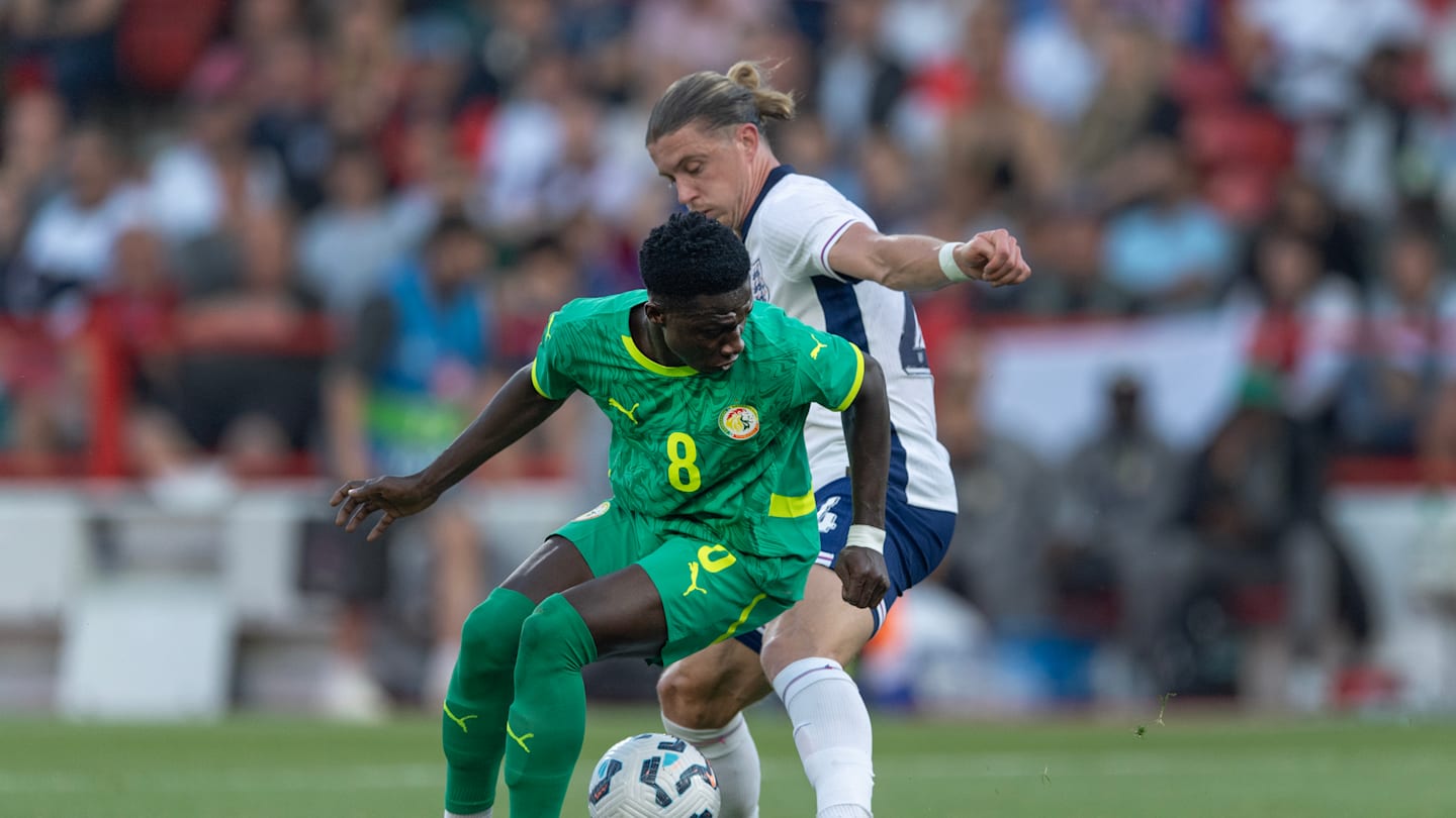 10 Tottenham Transfer Targets and Verdicts: Defensive Midfield - Hotspur HQ