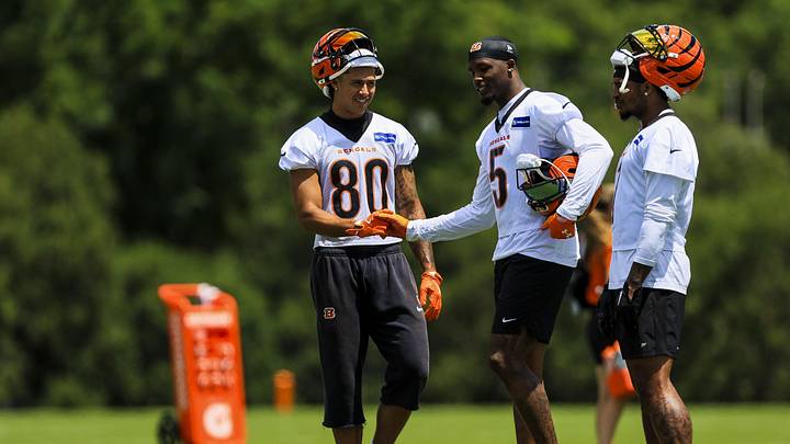 Jun 16, 2026; Cincinnati, OH, USA; Cincinnati Bengals wide receiver Andrei Iosivas (80) shakes hands with wide receiver Tee Higgins (5) during minicamp at Kettering Health Practice Fields. Mandatory Credit: Katie Stratman-Imagn Images Jun 16, 2026; Cincinnati, OH, USA; Cincinnati Bengals wide receiver Andrei Iosivas (80) shakes hands with wide receiver Tee Higgins (5) during minicamp at Kettering Health Practice Fields. Mandatory Credit: Katie Stratman-Imagn Images