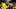 Oregon Ducks Michigan Wolverines Western Michigan Broncos College Football Big Ten AP Top 25 rankings Texas A&M Aggies Oregon Ducks Michigan Wolverines Western Michigan Broncos College Football Big Ten AP Top 25 rankings Texas A&M Aggies