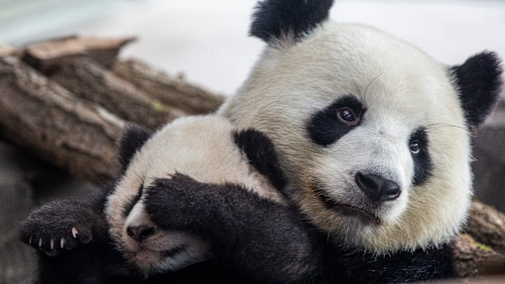 'Moooooom! You're embarrassing me!'