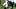 Chicago Bears running back D'Andre Swift. Chicago Bears running back D'Andre Swift.