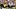 Fantasy Football, Chase Brown, Cincinnati Bengals Fantasy Football, Chase Brown, Cincinnati Bengals