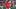 Boston Red Sox pitcher Tyler Samaniego Boston Red Sox pitcher Tyler Samaniego