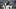 Philadelphia Eagles cornerback Quinyon Mitchell is having a superb rookie season. Philadelphia Eagles cornerback Quinyon Mitchell is having a superb rookie season.