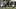 UCF_week4 John Hoyer Chance with a successful punt