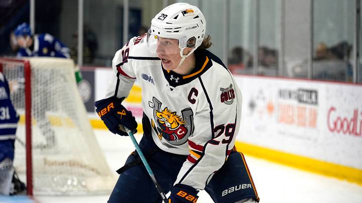 Barrie Colts v Brampton Steelheads