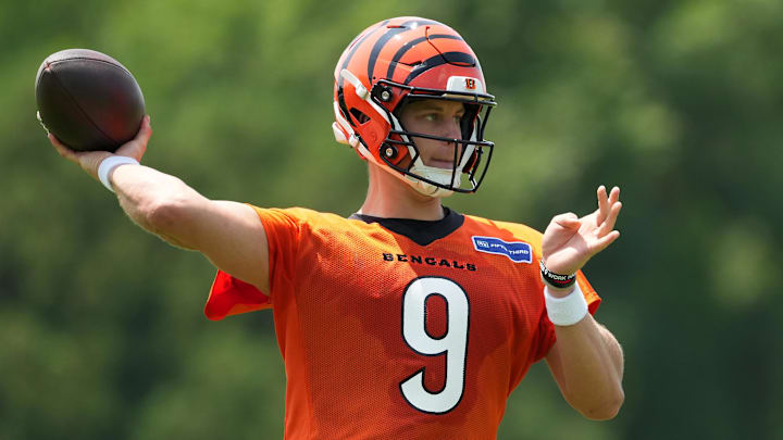 Joe Burrow led the NFL in passing yards and passing touchdowns in 2024.