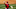 Ty Buttrey, LA Angels Ty Buttrey, LA Angels