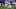 Arizona Cardinals kicker Chad Ryland Arizona Cardinals kicker Chad Ryland