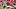 Sep 17, 2016; Louisville, KY, USA; Louisville Cardinals quarterback Lamar Jackson (8) runs the ball against the Florida Stat Sep 17, 2016; Louisville, KY, USA; Louisville Cardinals quarterback Lamar Jackson (8) runs the ball against the Florida Stat