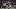 New England Patriots wide receiver Julian Edelman New England Patriots wide receiver Julian Edelman