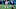 Seahawks at Panthers Seahawks at Panthers