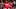 Cincinnati Reds pitcher Tony Santillan (64) throws a pitch in the eighth inning of the MLB National League game between the C