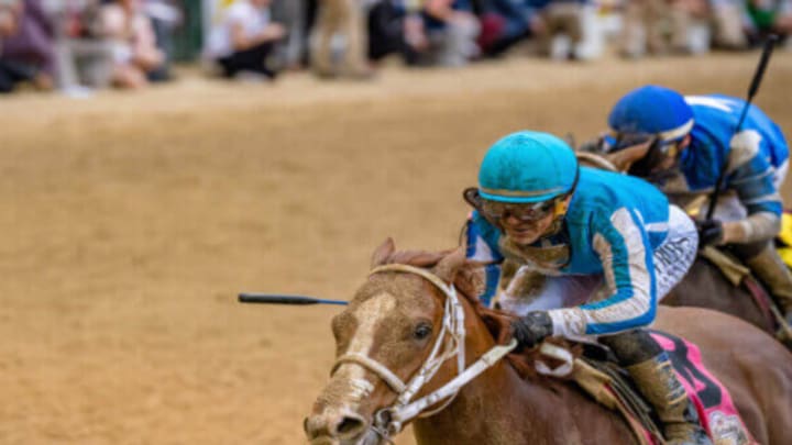 Admire Daytona prepares to race in the 151st Kentucky Derby Admire Daytona prepares to race in the 151st Kentucky Derby