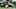Colorado Buffaloes Players React Deion Sanders Emotional Return Amazing Cancer Carter Stoutmire DJ McKinney Robert Livingston Colorado Buffaloes Players React Deion Sanders Emotional Return Amazing Cancer Carter Stoutmire DJ McKinney Robert Livingston