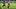 Houston Cougars running back Dean Connors Houston Cougars running back Dean Connors