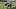 TCU Horned Frogs tight end Ka'Morreun Pimpton TCU Horned Frogs tight end Ka'Morreun Pimpton
