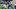 TCU Horned Frogs wide receiver Jeremy Scott TCU Horned Frogs wide receiver Jeremy Scott